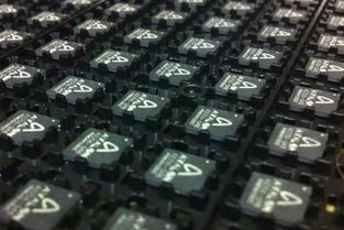 High-performance cryptocurrency mining rig operating in a Canadian hosting facility